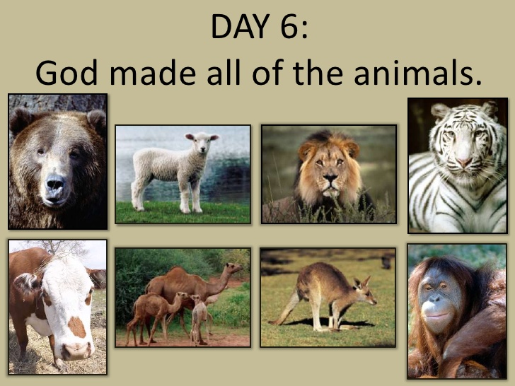 Gud-skapte-dyrene