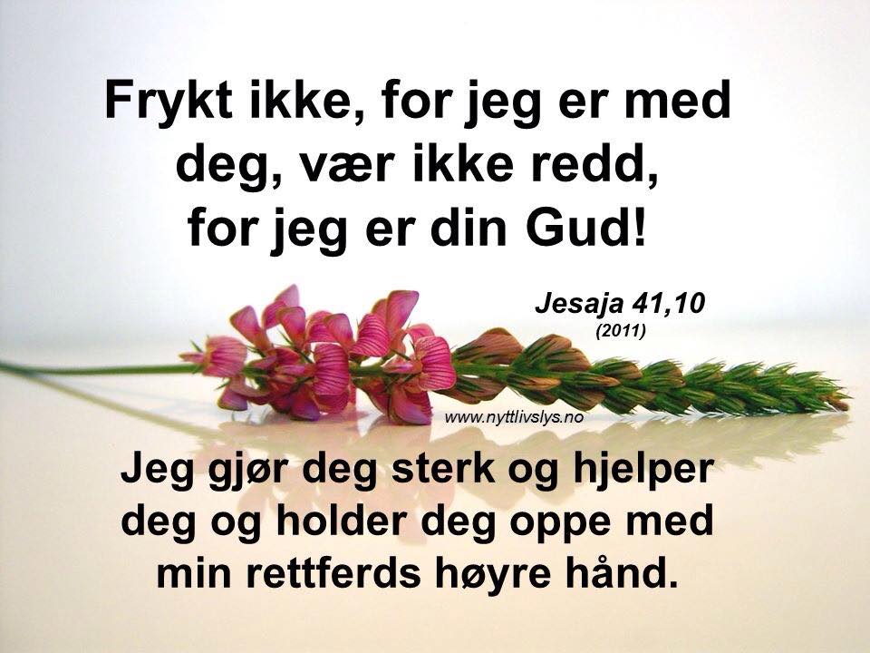 Frykt ikke!