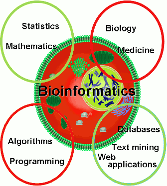 bio-informatikk