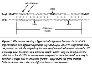 DNA-alignment