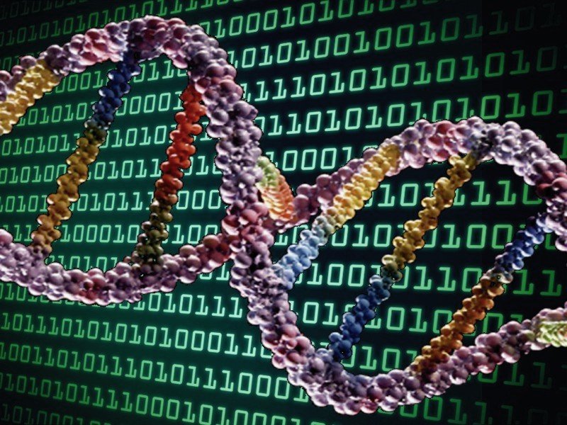 DNA-binaert