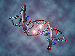 DNA-metylering