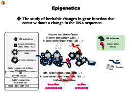 Epigenetikk-uten-DNA-endringer