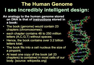 bevis ut fra menn-genom