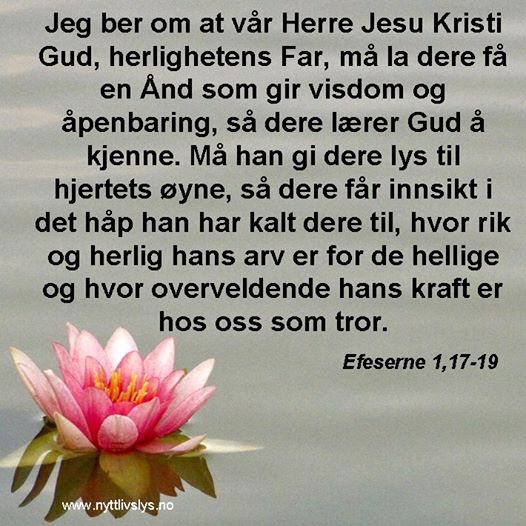 B&oslash;nn om visdom