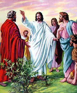 Jesu disipler