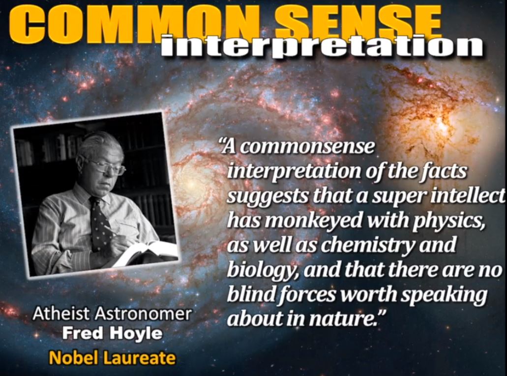Fred Hoyle