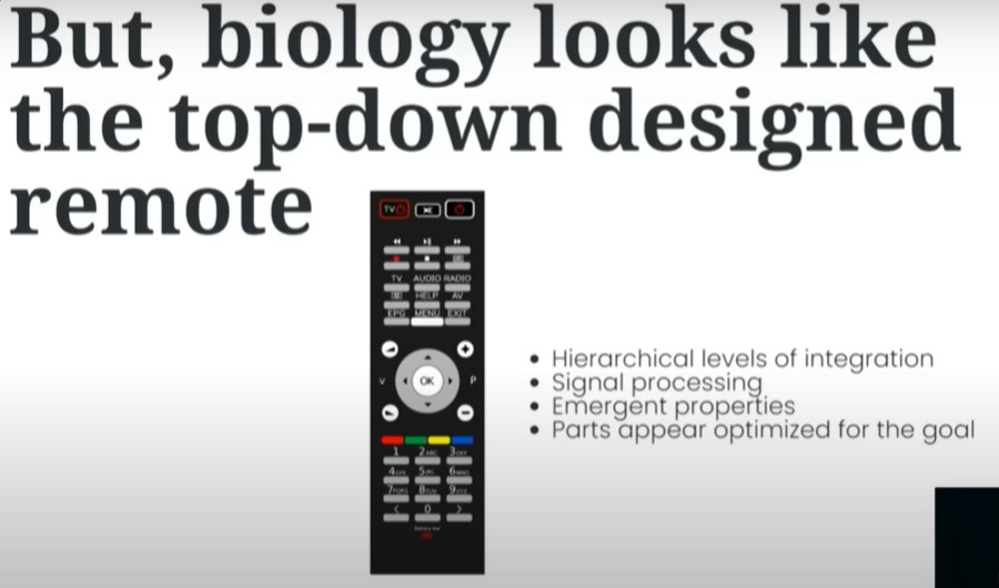 Biologi-Top-Down