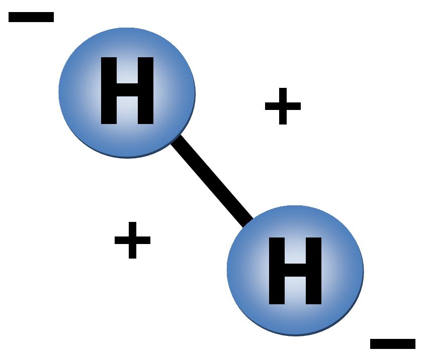 hydrogen-binding