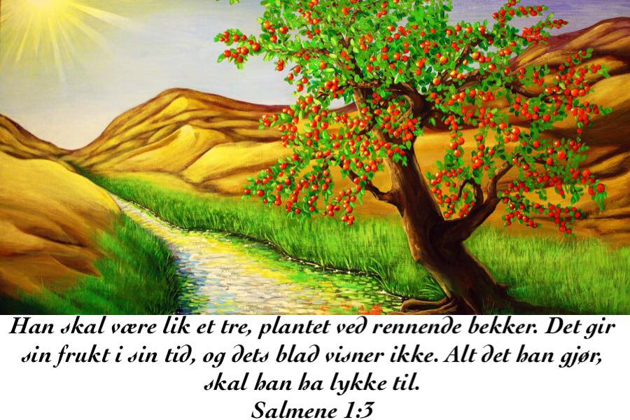 Tre ved rennende bekk