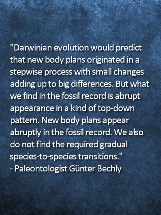 bechly-om-fossiler