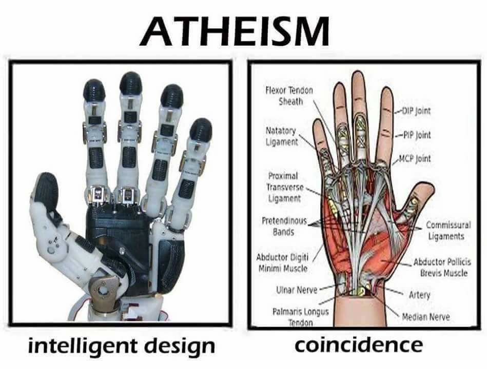 Hand int-designet