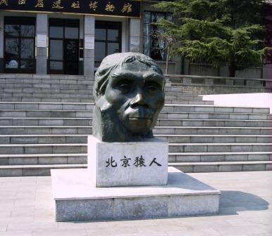 Peking-mannen