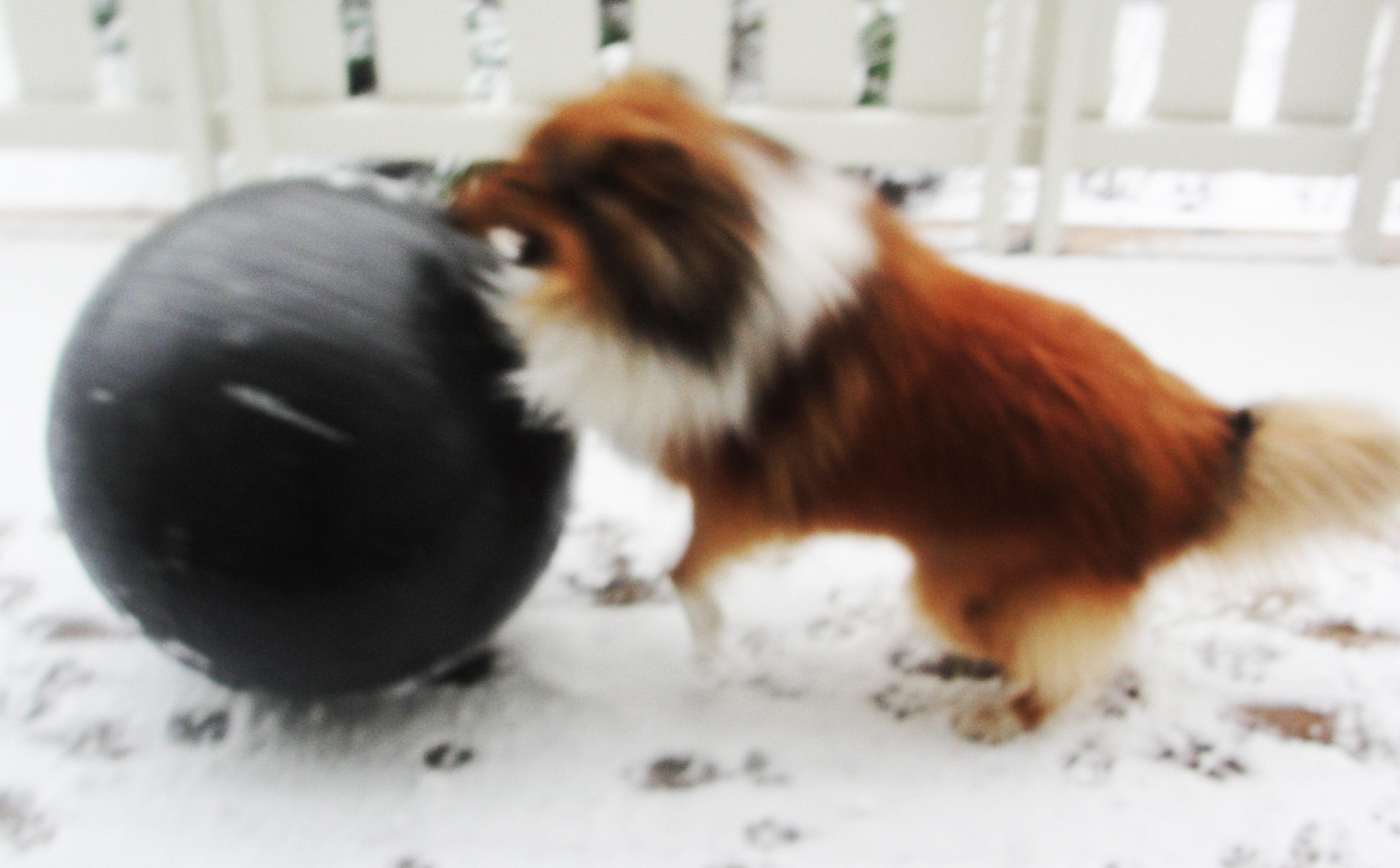 leker med ballen