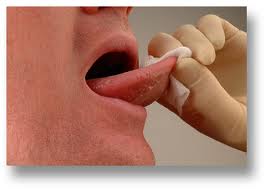 bite seg i tunga