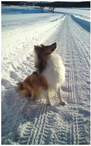 god tid